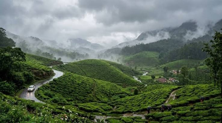 Munnar image 1